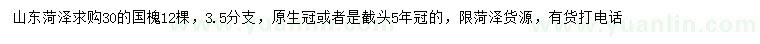 求購(gòu)30公分國(guó)槐