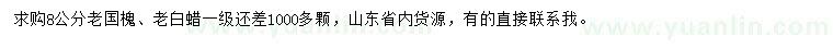 求購8公分老國槐、老白蠟