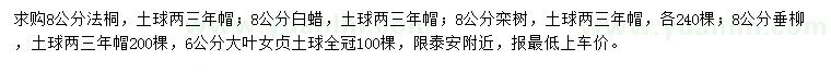 求購法桐、白蠟、欒樹等