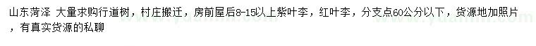求購(gòu)8-15公分以上紫葉李、紅葉李