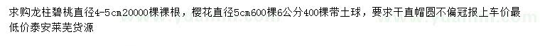 求購直徑4-5公分龍柱碧桃、5、6公分櫻花