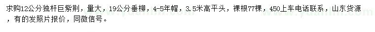 求購(gòu)12公分獨(dú)桿巨紫荊、19公分垂柳