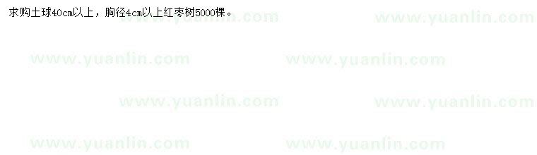 求購胸徑4公分紅棗樹