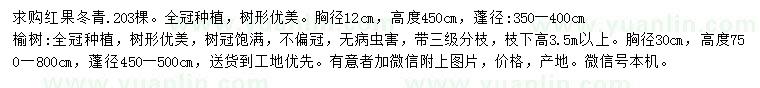 求購胸徑12公分紅果冬青、胸徑30公分榆樹