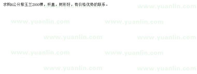求購6公分紫玉蘭