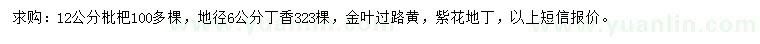 求購(gòu)枇杷、丁香、金葉過(guò)路黃等