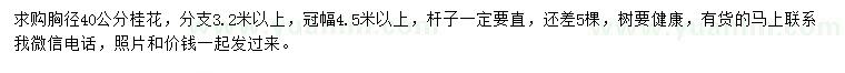 求購(gòu)胸徑40公分桂花