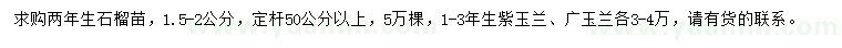 求購石榴苗、紫玉蘭、廣玉蘭