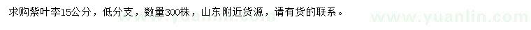 求購15公分紫葉李