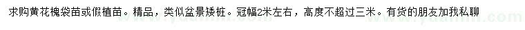 求購(gòu)冠幅2米左右黃花槐袋苗、假植苗