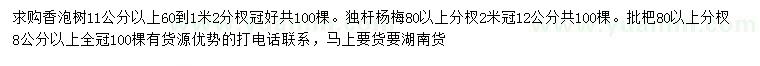 求購香泡、獨桿楊梅、枇杷