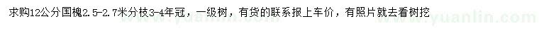 求購12公分國槐