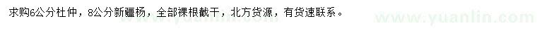 求購6公分杜仲、8公分新疆楊