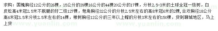 求購國槐、白皮松、皂角等