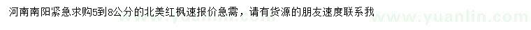 求購5-8公分北美紅楓