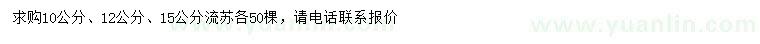 求購10、12、15公分流蘇