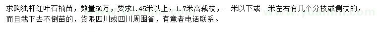 求購1.45米以上獨桿紅葉石楠苗