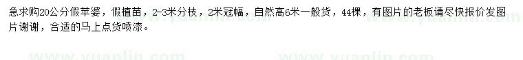 求購(gòu)20公分假蘋(píng)婆
