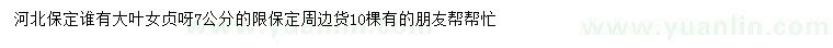 求購7公分大葉女貞