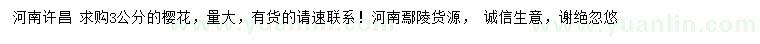 求購3公分櫻花