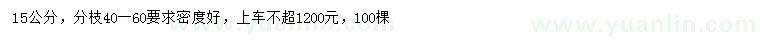 求購15公分八月桂