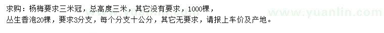求購冠幅3米楊梅、3分支叢生香泡