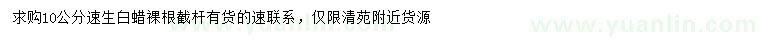 求購10公分速生白蠟