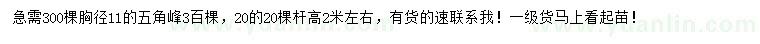 求購(gòu)胸徑11、20公分五角楓