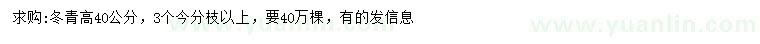 求購高40公分冬青
