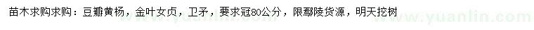求購(gòu)豆瓣黃楊、金葉女貞、衛(wèi)矛
