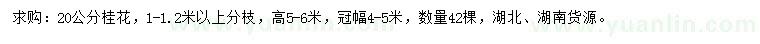 求購20公分桂花