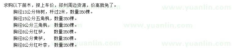 求購(gòu)柿樹、五角楓、三角楓等