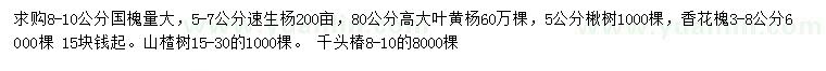 求購(gòu)國(guó)槐、速生楊、大葉黃楊等
