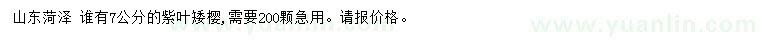 求購7公分紫葉矮櫻