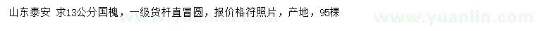 求購(gòu)13公分國(guó)槐