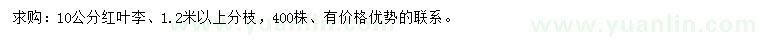 求購10公分紅葉李