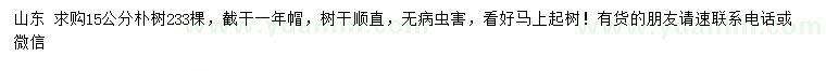求購(gòu)15公分樸樹(shù)