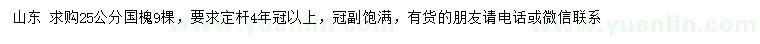 求購25公分國槐