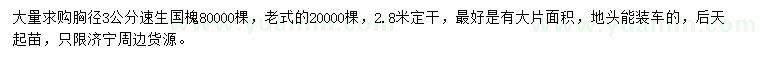 求購(gòu)胸徑3公分速生國(guó)槐、老式國(guó)槐