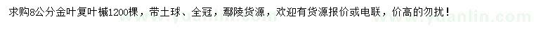 求購8公分金葉復葉槭
