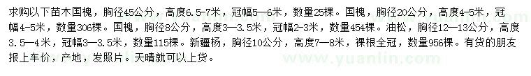 求購國槐、油松、新疆楊
