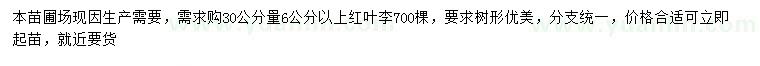 求購30公分量6公分以上紅葉李