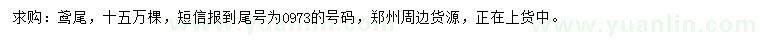 求購鳶尾