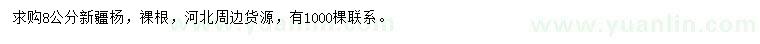 求購8公分新疆楊