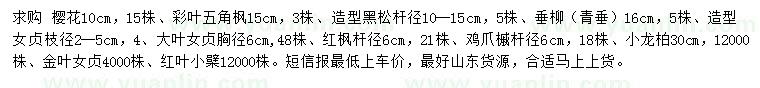求購櫻花、五角楓、造型黑松等