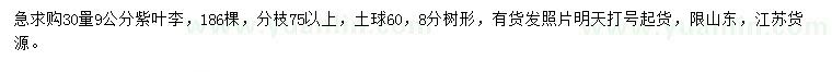 求購30量9公分紫葉李