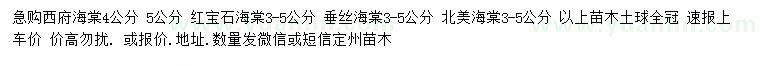 求購西府海棠、紅寶石海棠、垂絲海棠等