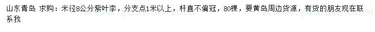 求購米徑8公分紫葉李