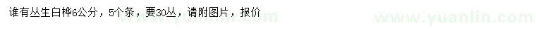求購6公分叢生白樺