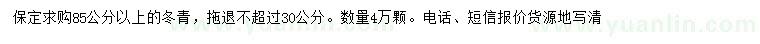 求購(gòu)85公分以上冬青